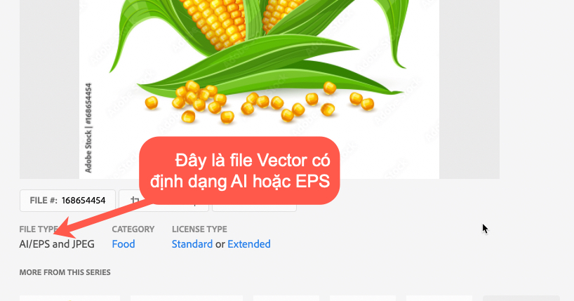 Ví dụ file Vector có định dạng EPS hoặc AI tuỳ file gốc