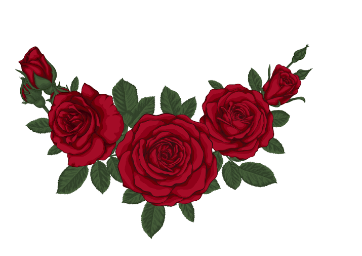8 Vector hoa hồng