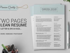 Clean Resume CV