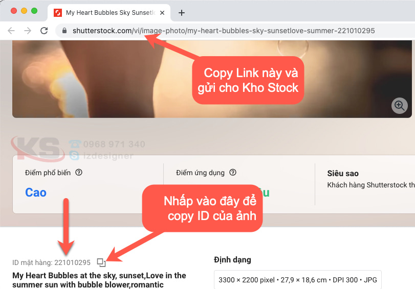 Cách lấy Link và ID sản phẩm trên Shutterstock