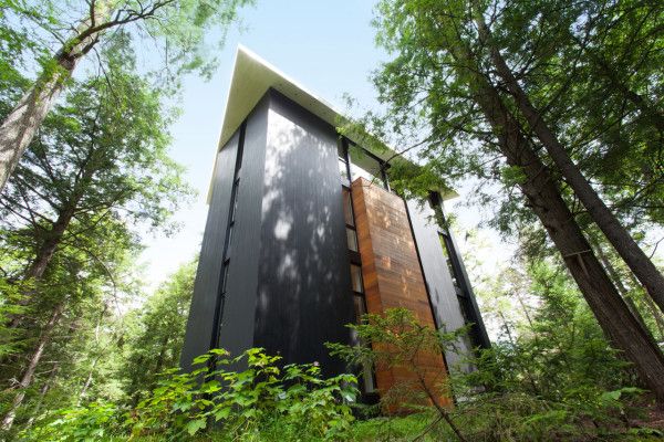 Ngôi nhà tuyệt đẹp xây dựng ngay giữa rừng Canada