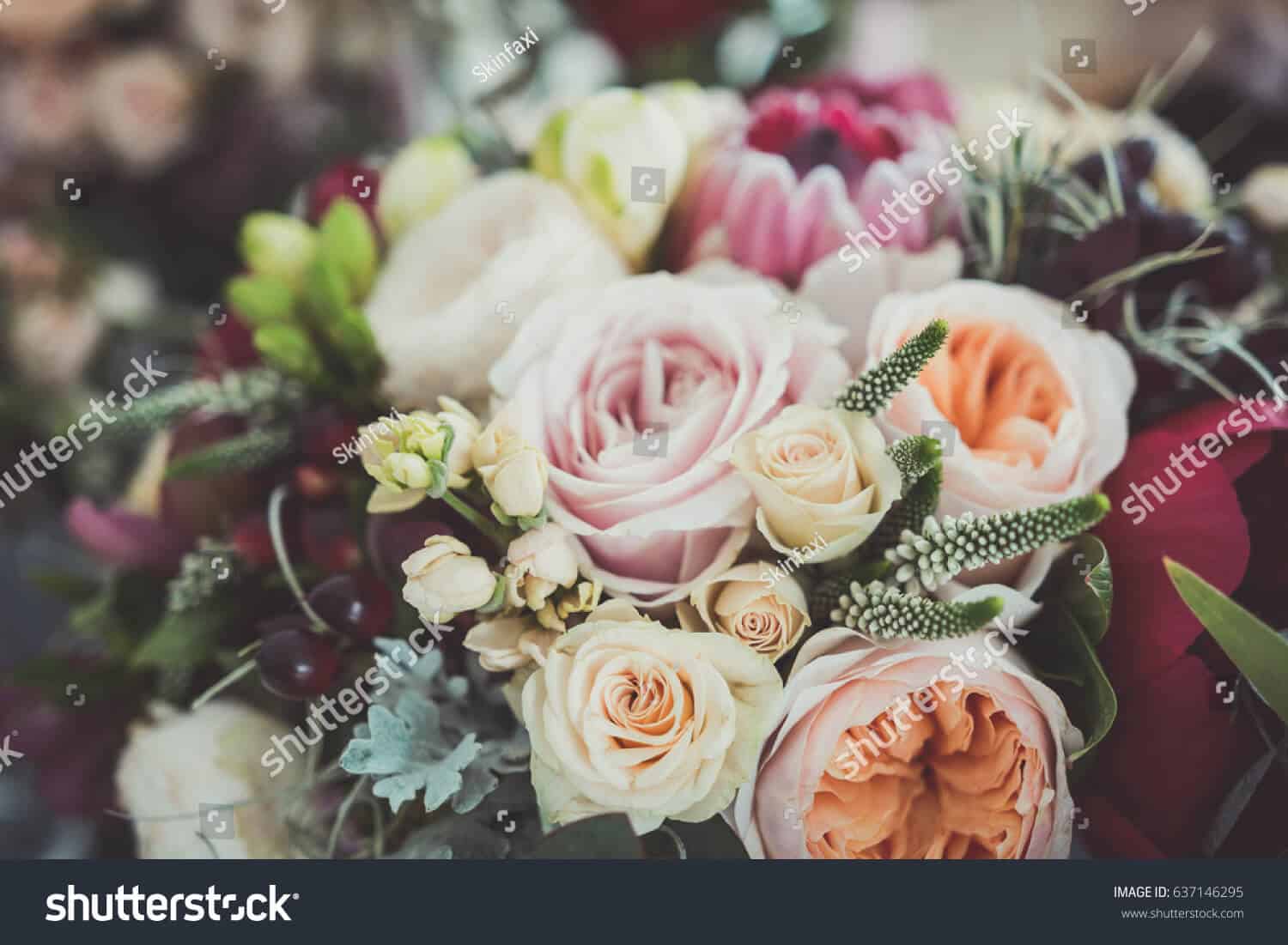 6 triệu hình ảnh bó hoa đẹp cho ngày 8/3 chất lượng cao trên Shutterstock