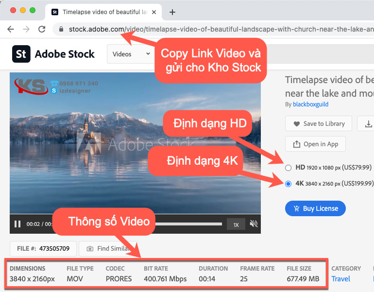 Tìm và gửi link cần mua Video Adobe Stock