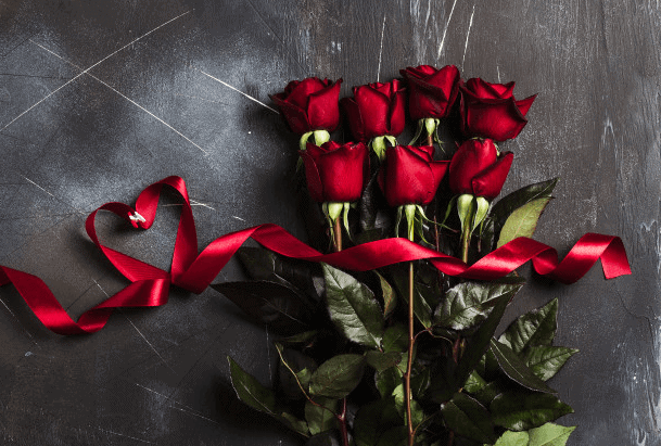 Bộ sưu tập hình ảnh hoa hồng Valentine chất lượng cao - KS492