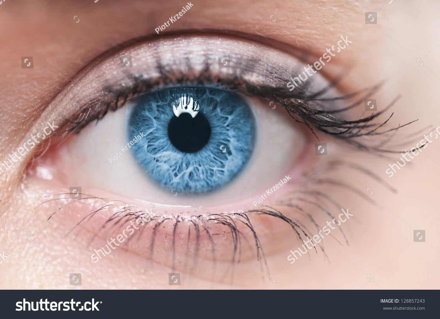 8 triệu hình ảnh đôi mắt chất lượng cao trên Shutterstock