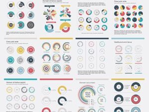 Vector biểu đồ tròn Infographics - KS904