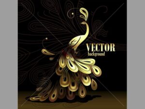 Vector Con Công vàng tuyệt đẹp - KS761
