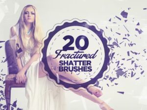 20 Brush Shatter Photoshop tuyệt đẹp - KS2976