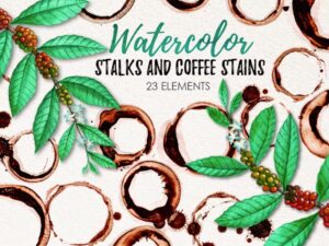 21 Watercolor Coffee Stains PSD - KS2658