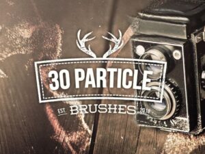 30 Brush Particle Photoshop tuyệt đẹp - KS2966