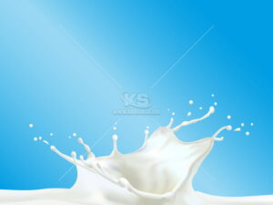 Vector Sữa Bắn tung toé tuyệt đẹp - KS2374