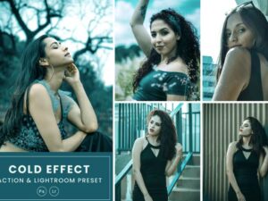 Cold Effect Photoshop Action & Lightrom Presets - KS2897