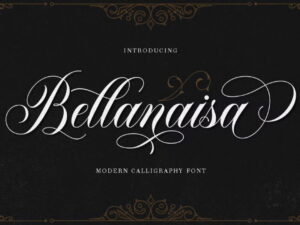 Font Chữ Bellanaisa viết tay hiện đại - KS2831