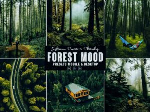 Forest Photoshop Action & Lightrom Presets - KS2952