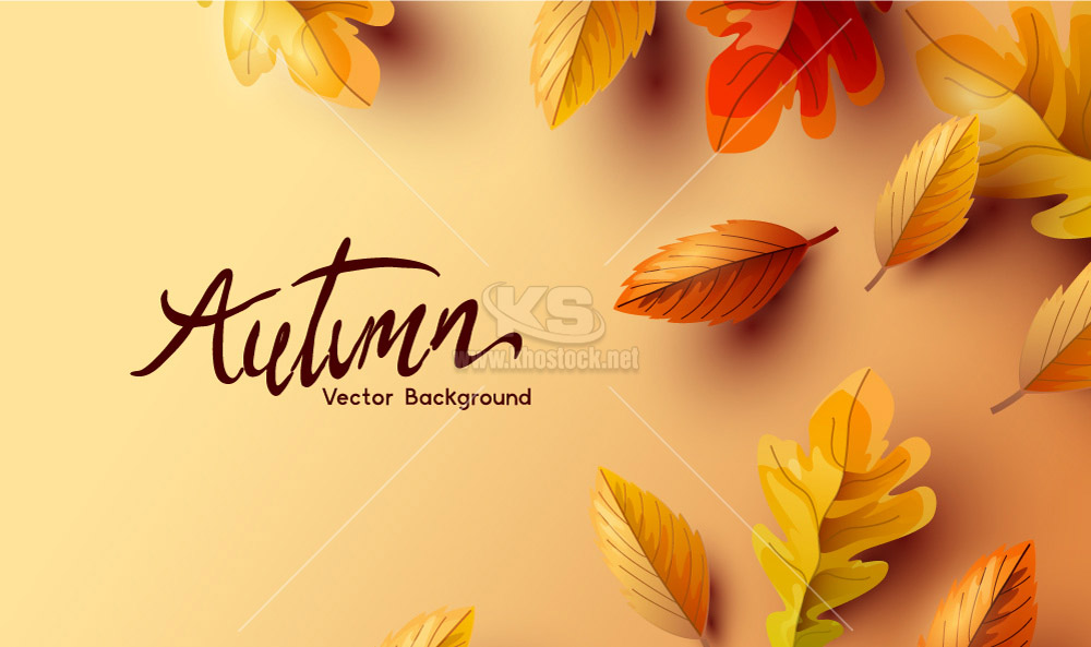 Vector background mùa thu lá vàng - KS3054