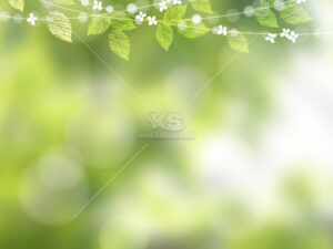 Vector background hoa lá nhẹ nhàng - KS3068
