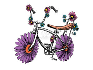 Vector xe đạp hoa cúc tím - KS3209