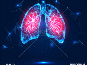 Vector phổi 3D - KS3668
